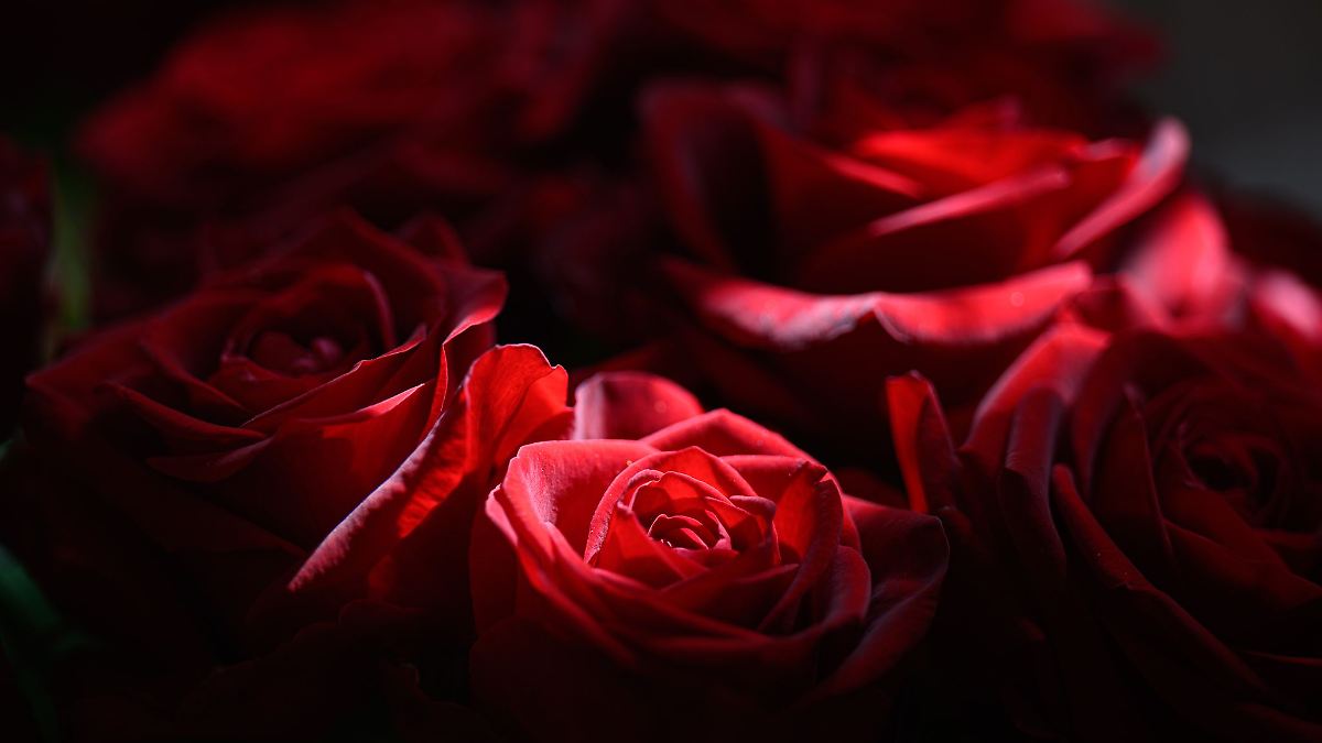 Appelle zum Frauentag: Gleichberechtigung und Schutz