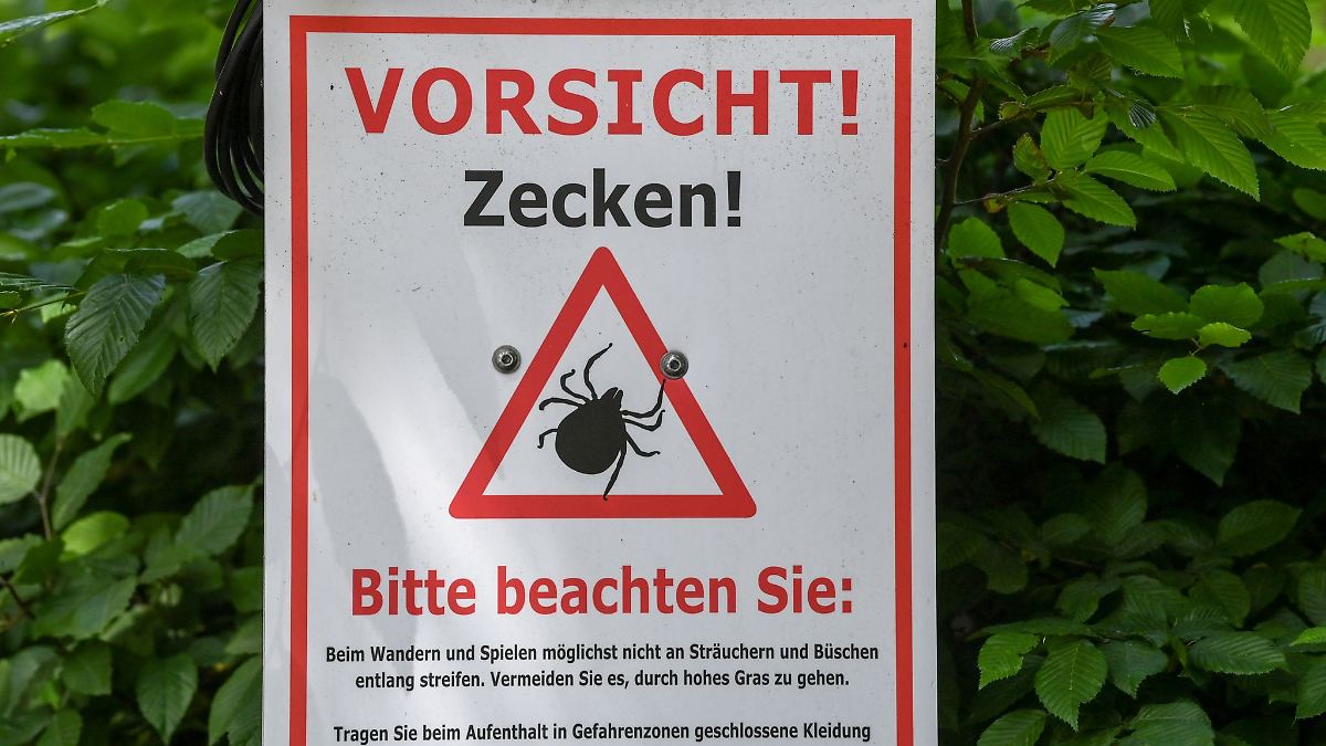 Frühling macht Zecken mobil - Erste Borreliose-Fälle
