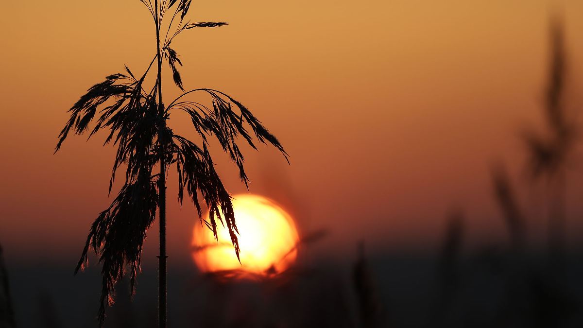 Sonnenschein verabschiedet sich in Baden-Württemberg