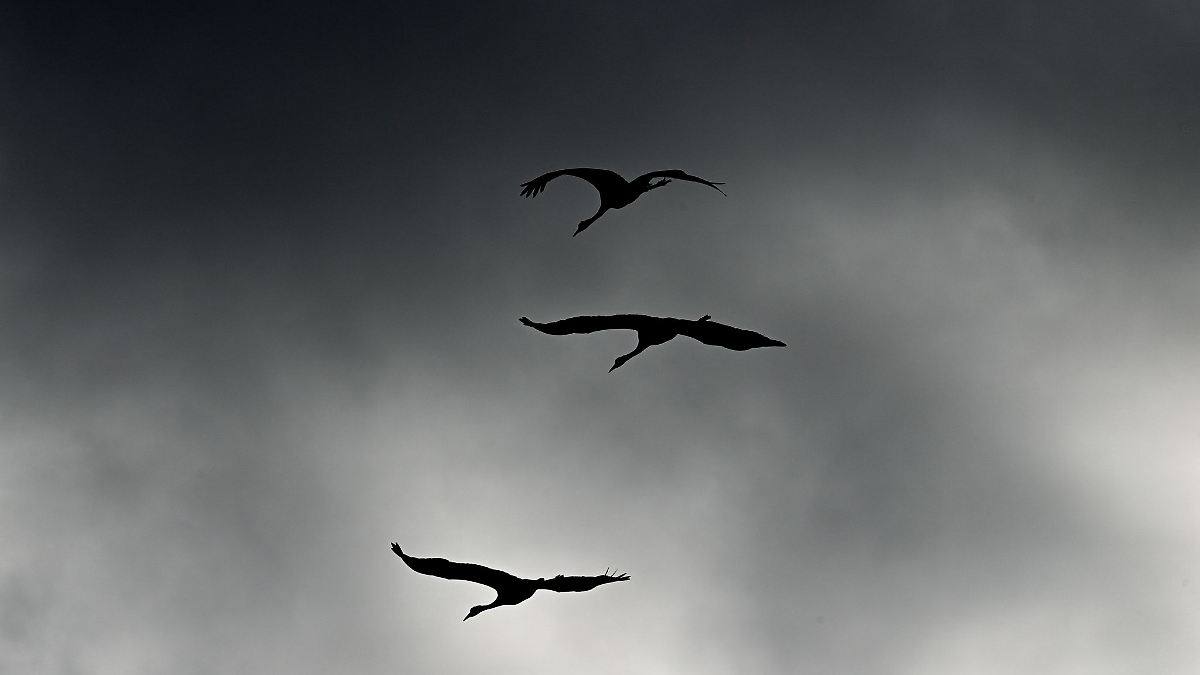 Kühleres und wechselhaftes Wetter für Sachsen-Anhalt
