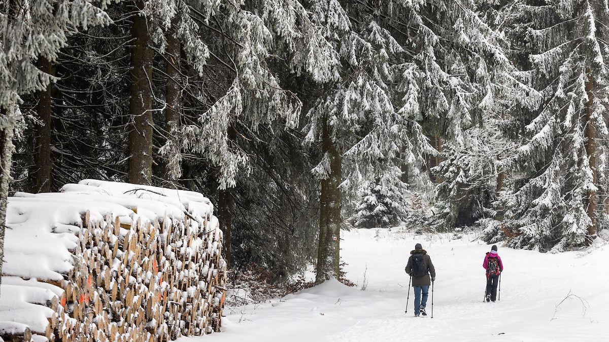 Schnee im Thüringer Bergland