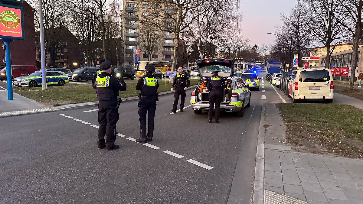 Autofahrer flieht vor Kontrolle - zwei Polizisten verletzt