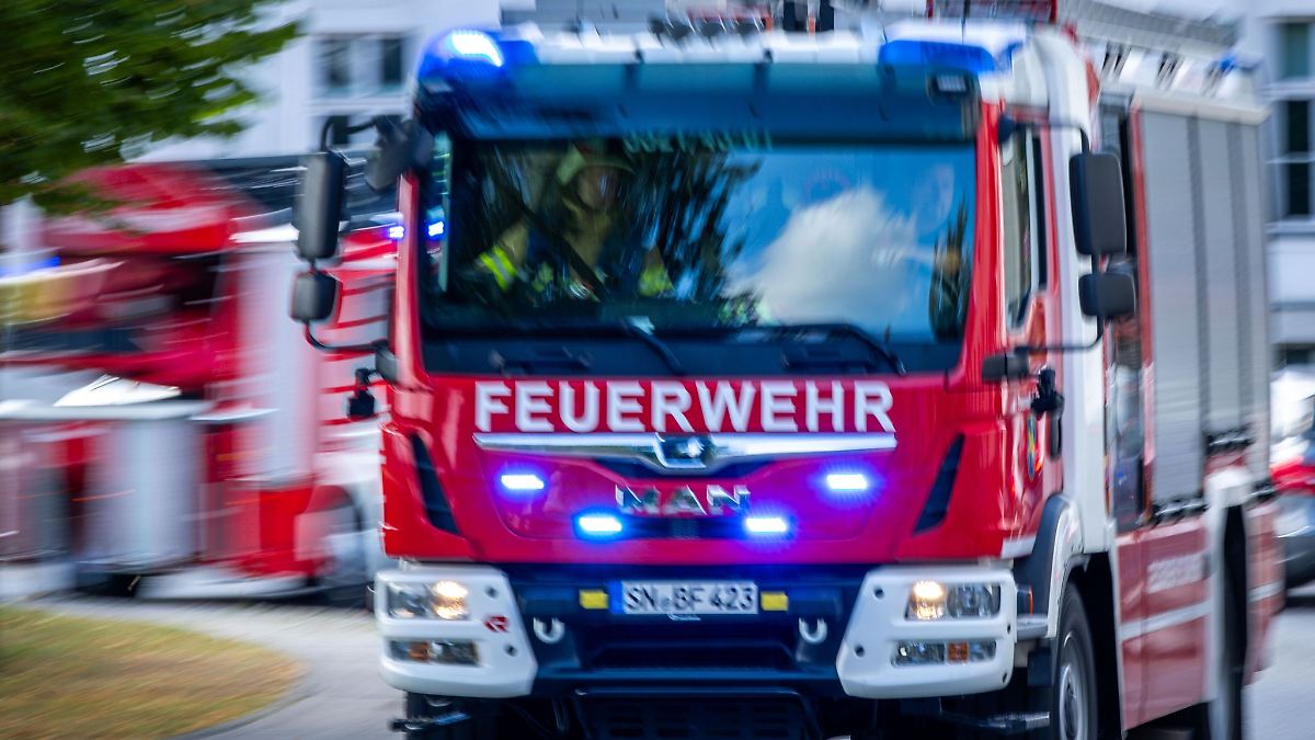 Brennende Sträucher fallen aus Ofen - Zimmerbrand