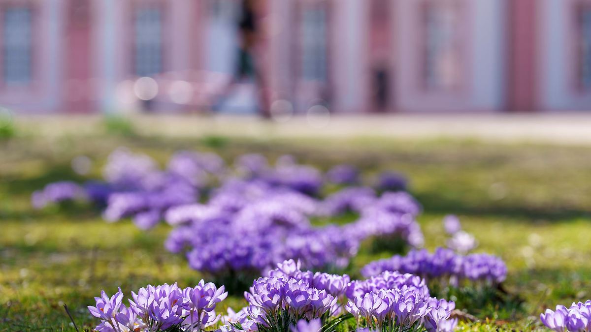 Hessen bei der Naherholung unter Bundesdurchschnitt
