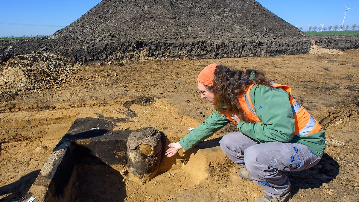 Rund 3.500 Jahre alter Grabhügel bei Förderstedt entdeckt