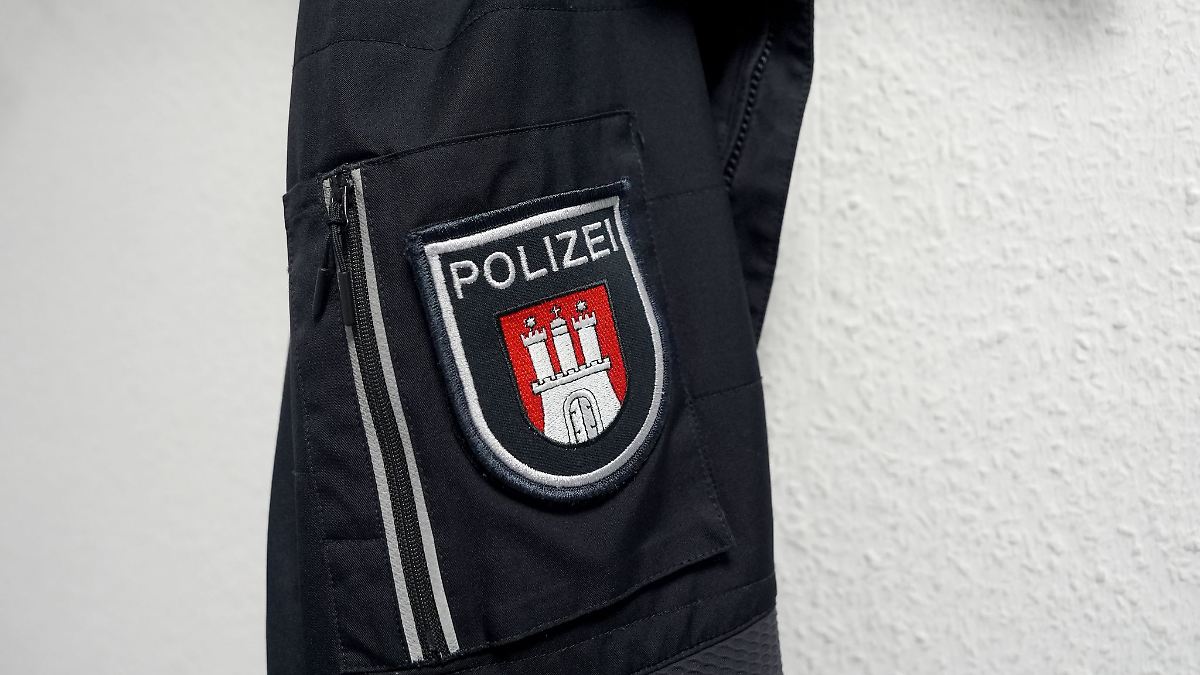 AfD: Durchsuchungen bei Polizisten unverhältnismäßig