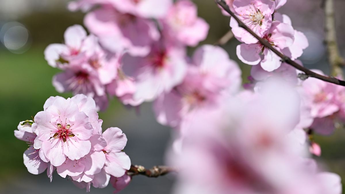 Wetter-Mix zum Ende der Woche