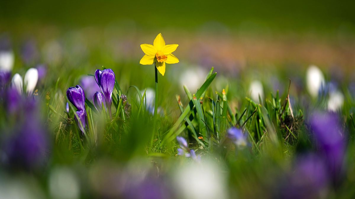 Erst Sonne, dann Regen bei milden Temperaturen