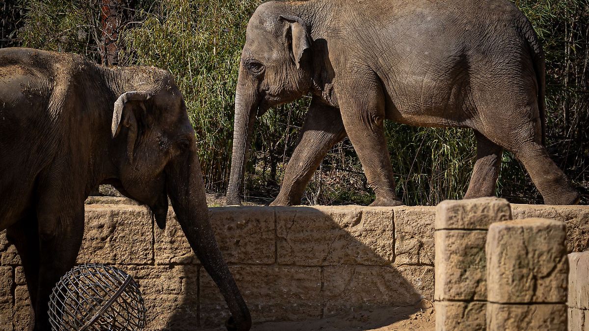 Lower Saxony & Bremen: Zoo Hannover’s Season Starts with Innovations