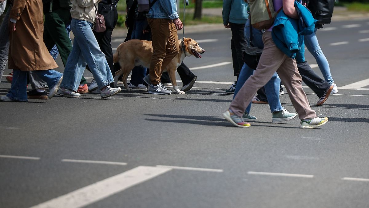 Umfrage: Leipziger gehen tägliche Wege zumeist zu Fuß