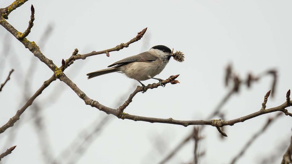 Sonne, Wolken und Regen – wechselhaftes Wetter im Land
