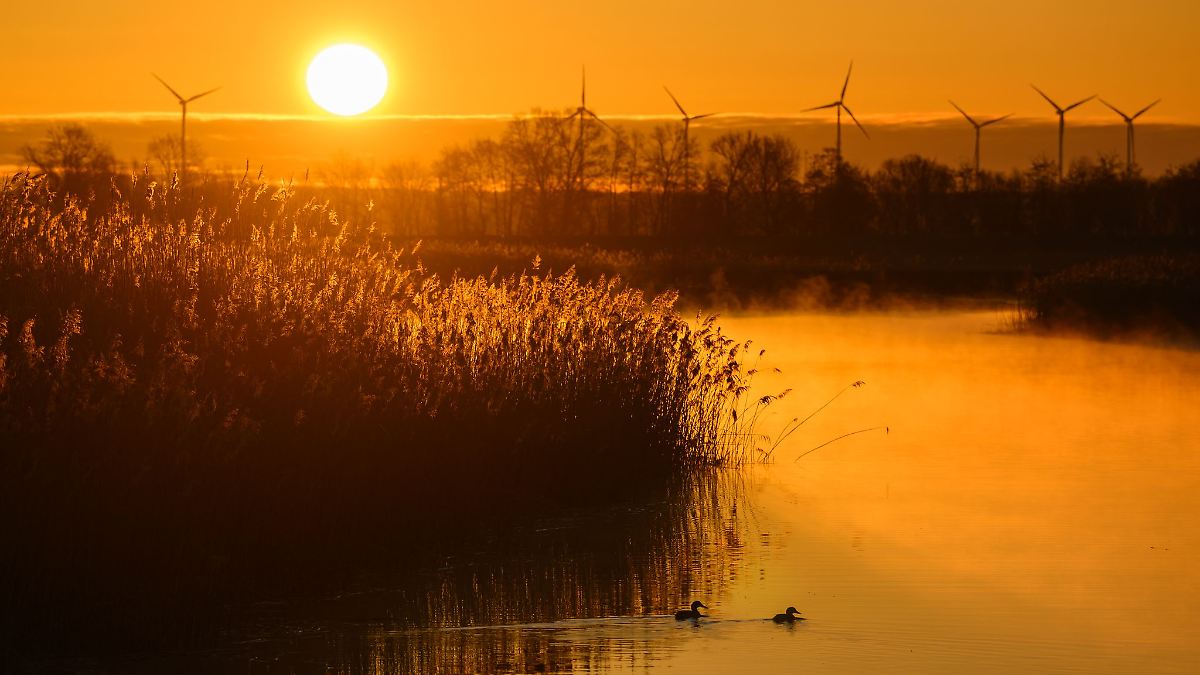 Mild und trocken in Berlin und Brandenburg