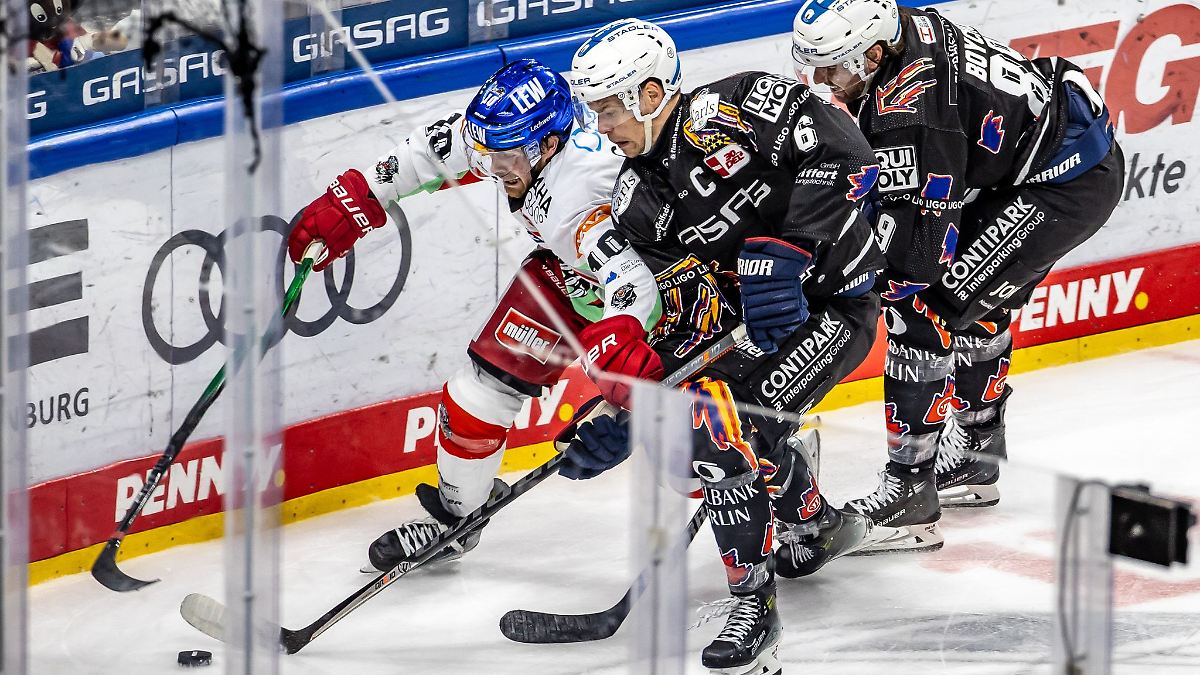 Eishockey-Profi Collins verlässt Augsburger Panther