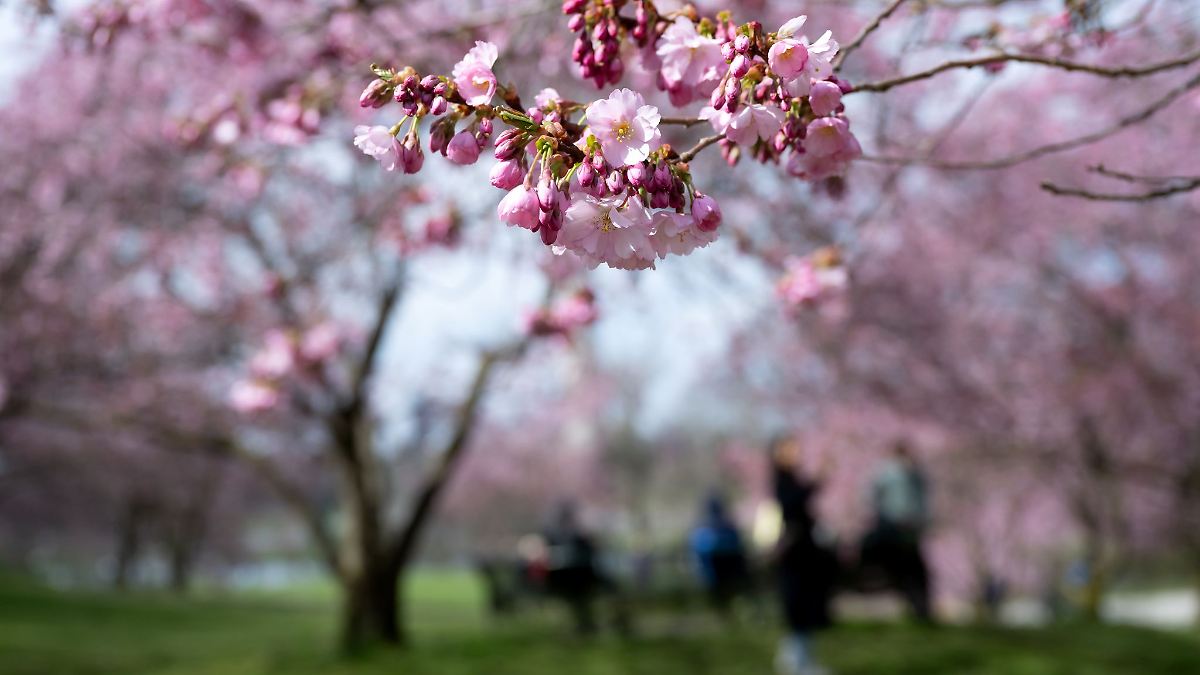 Mildere Temperaturen und mehr Sonne in Bayern