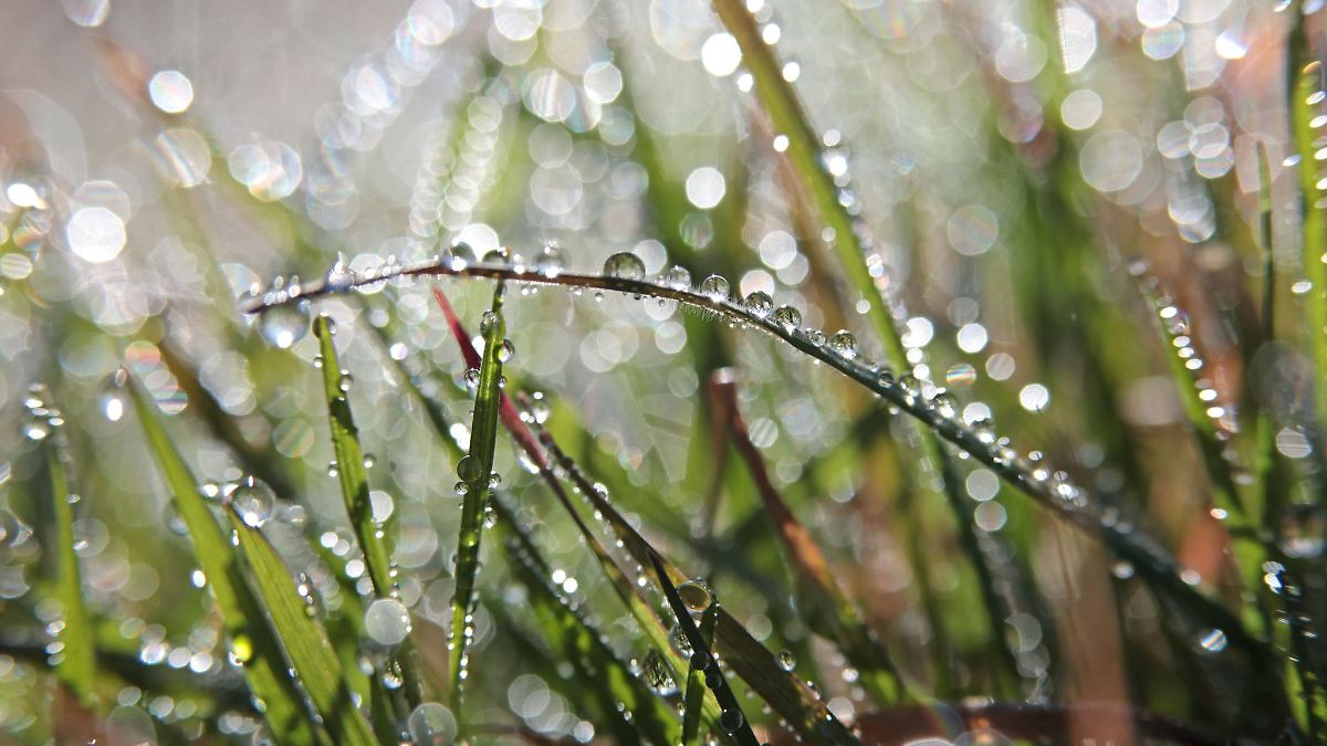 Von frostig zu mildem Wetter in Sachsen-Anhalt