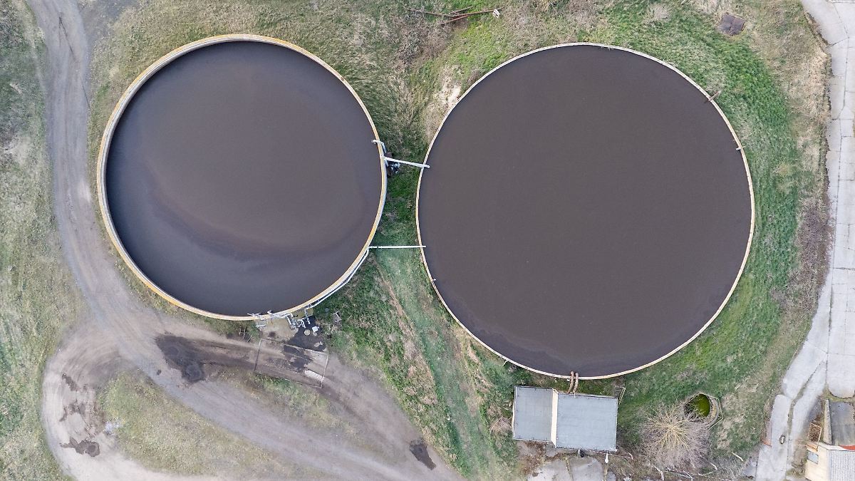 Leichen im Güllebecken: Identität der Toten weiter unklar