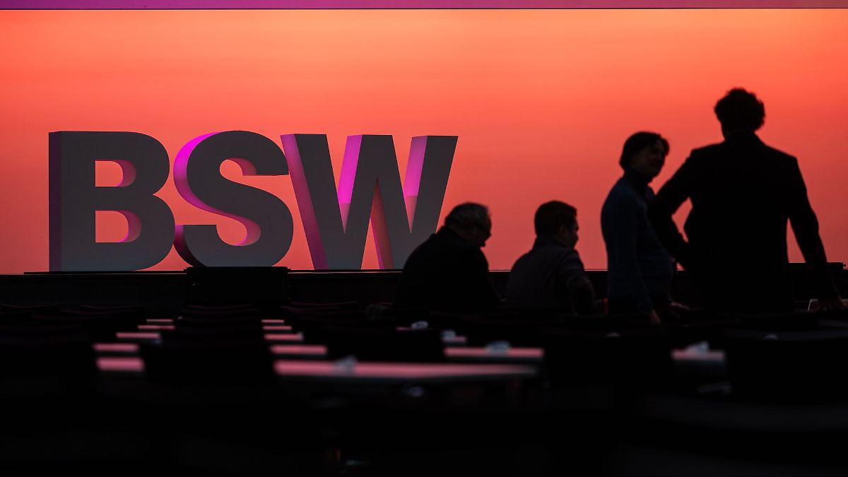 BSW-Abgeordnete Wirsing kandidiert für Parteivorsitz