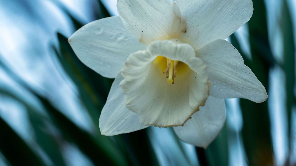 Das Osterwochenende beginnt trüb