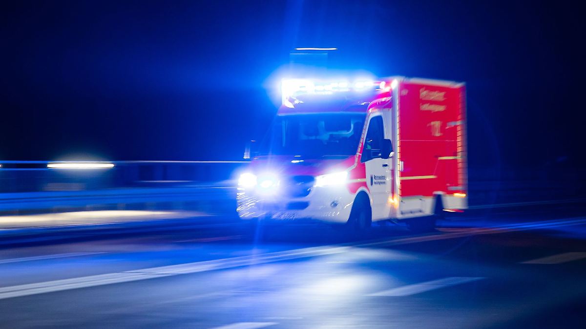 Hirsch läuft vor Rettungswagen – 30.000 Euro Schaden