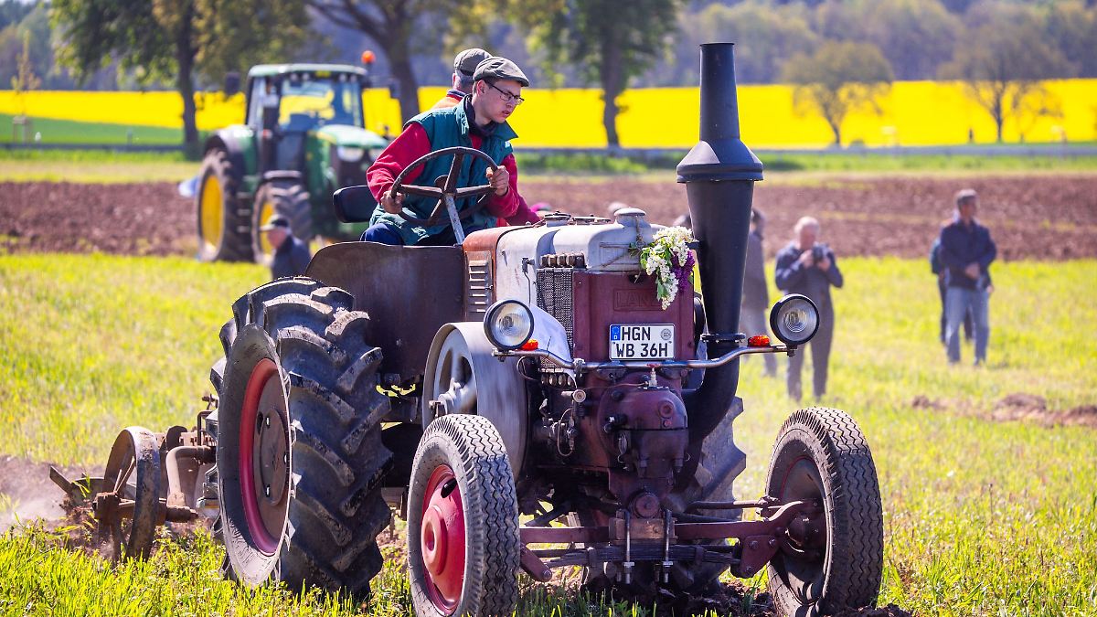 Preise und "Koppelfete": Um die Wette pflügen bei Gadebusch