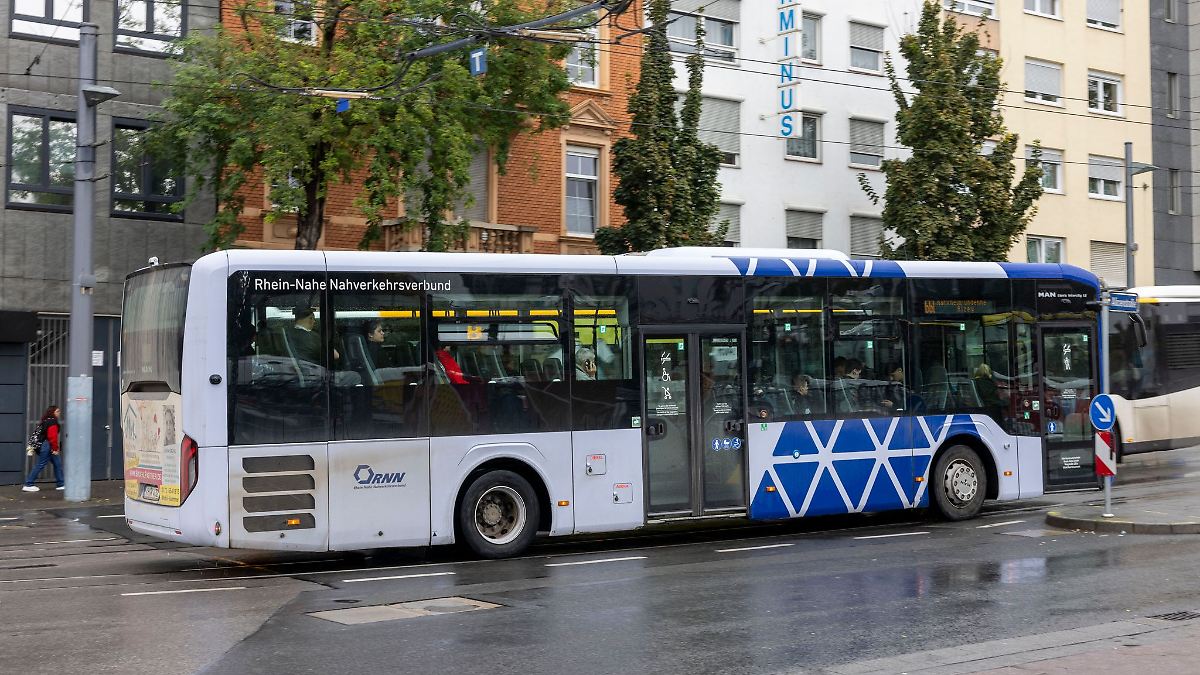 Tausende Straftaten in Bus und Bahn - meist Schwarzfahren