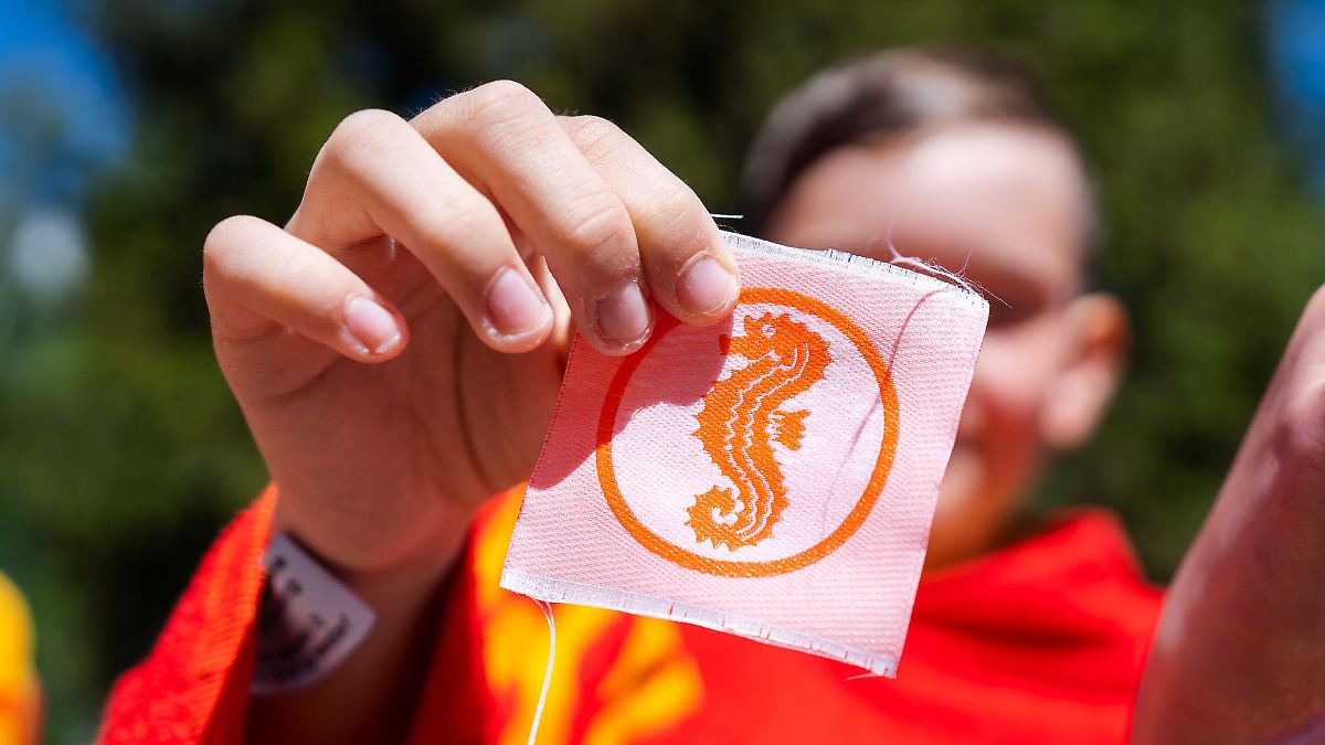 Weniger Seepferdchen-Prüfungen absolviert