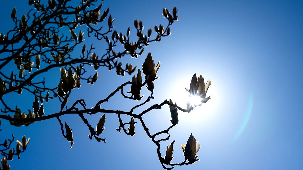 Sommerwetter am Tag der Arbeit erwartet