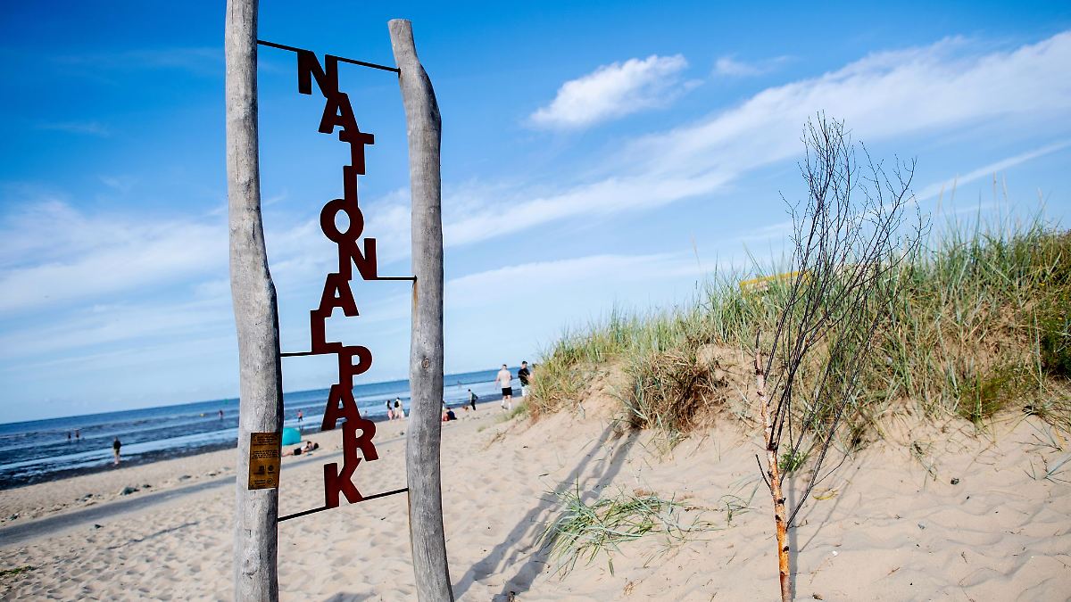 Organisationen lehnen neue Kabeltrassen durchs Wattenmeer ab