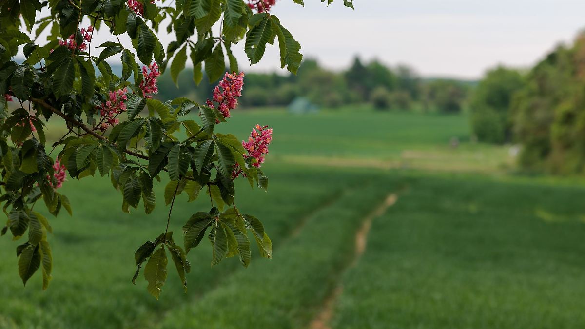 Nach Umschwung deutlich kühler in Hessen