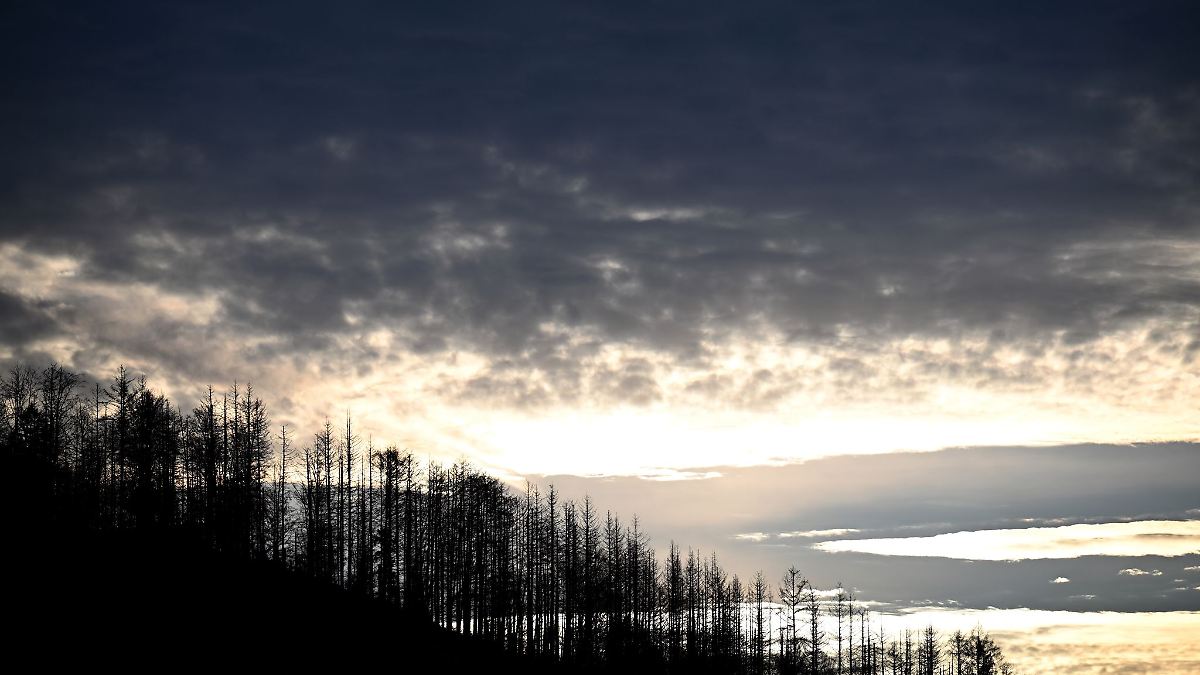 Wolken und Temperaturen deutlich unter 20 Grad