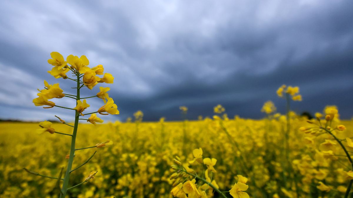Wolken, Schauer und Temperaturen bis 17 Grad