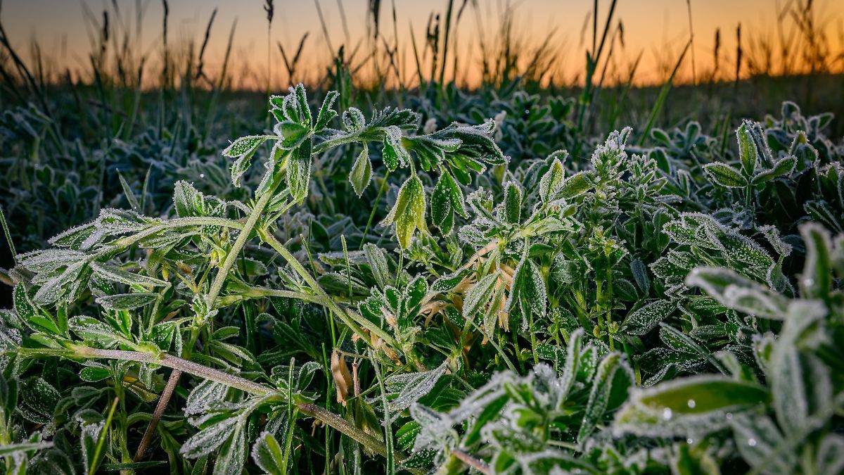 Mix aus Wolken, Sonne und etwas Regen