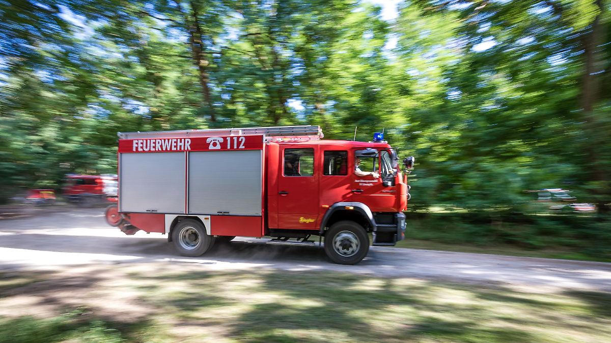 Waldbrände in Oberhavel entfacht - Polizei ermittelt