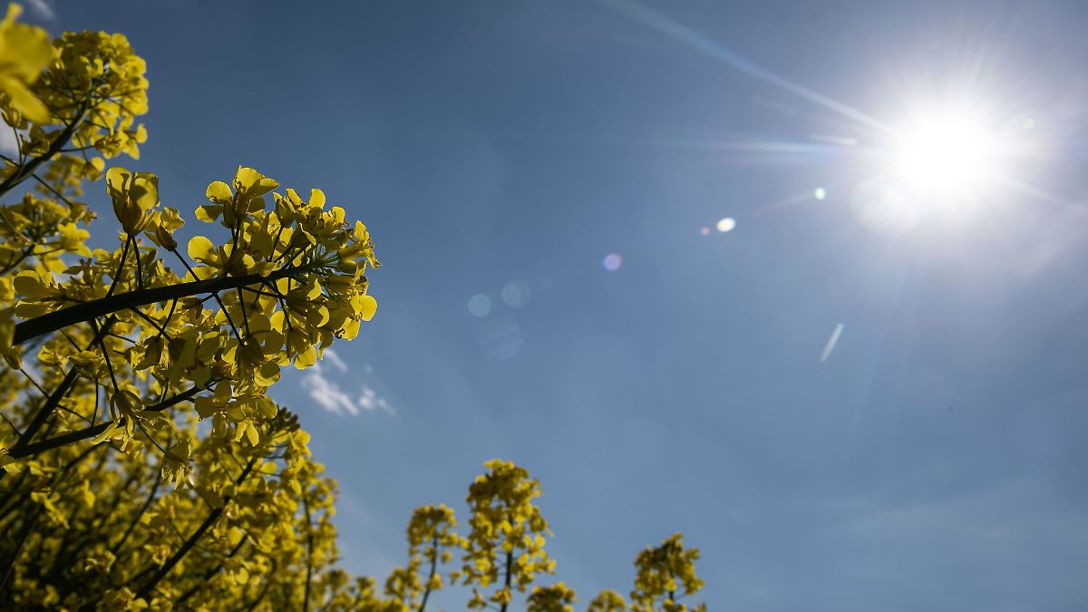 Viel Sonne in Rheinland-Pfalz und im Saarland