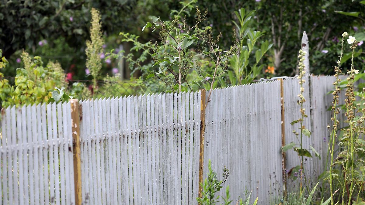 Mehr Nachbarschaftsstreits vor Schiedsstellen