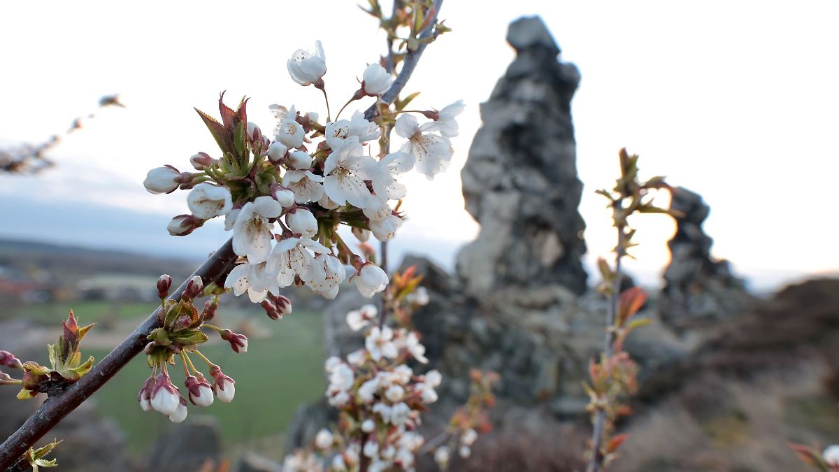 Wolken, Wind und Schauer in Sachsen-Anhalt