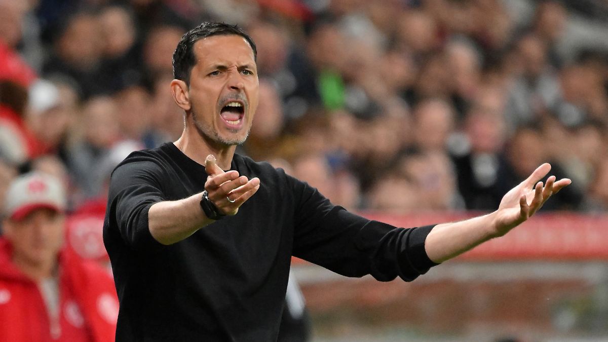 Eintracht vor Finale: Vertragsverlängerung als Signalwirkung