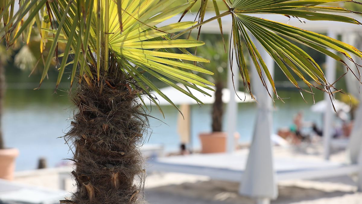 Temperaturen bis 21 Grad - am Sonntag vereinzelt Regen