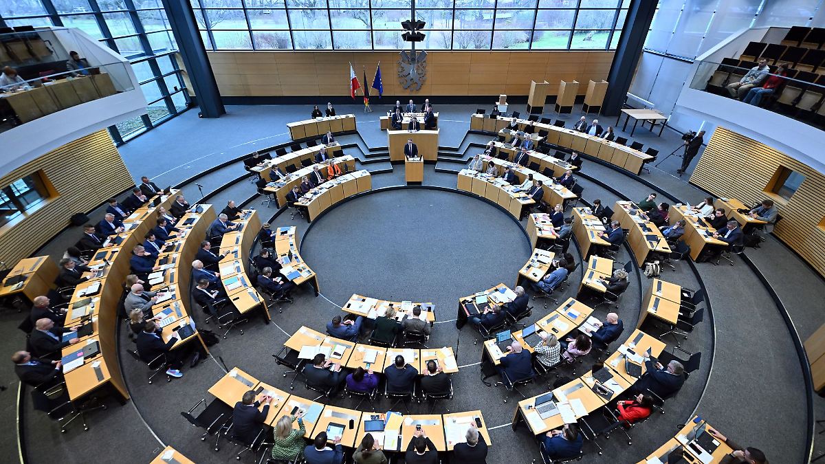 Antrag zu AfD-Verbotsverfahren in Ausschuss überwiesen