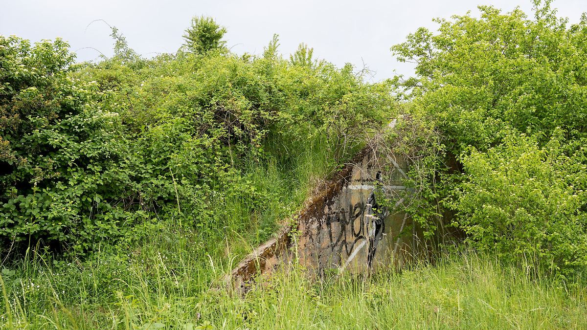 Von US-Militärs und Natur: Audioguide für Ober-Olmer Wald