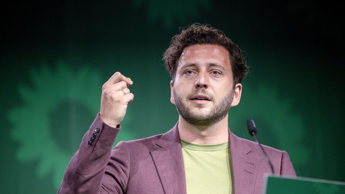 Bundesvorsitzender der Grünen will AfD-Verbotsverfahren