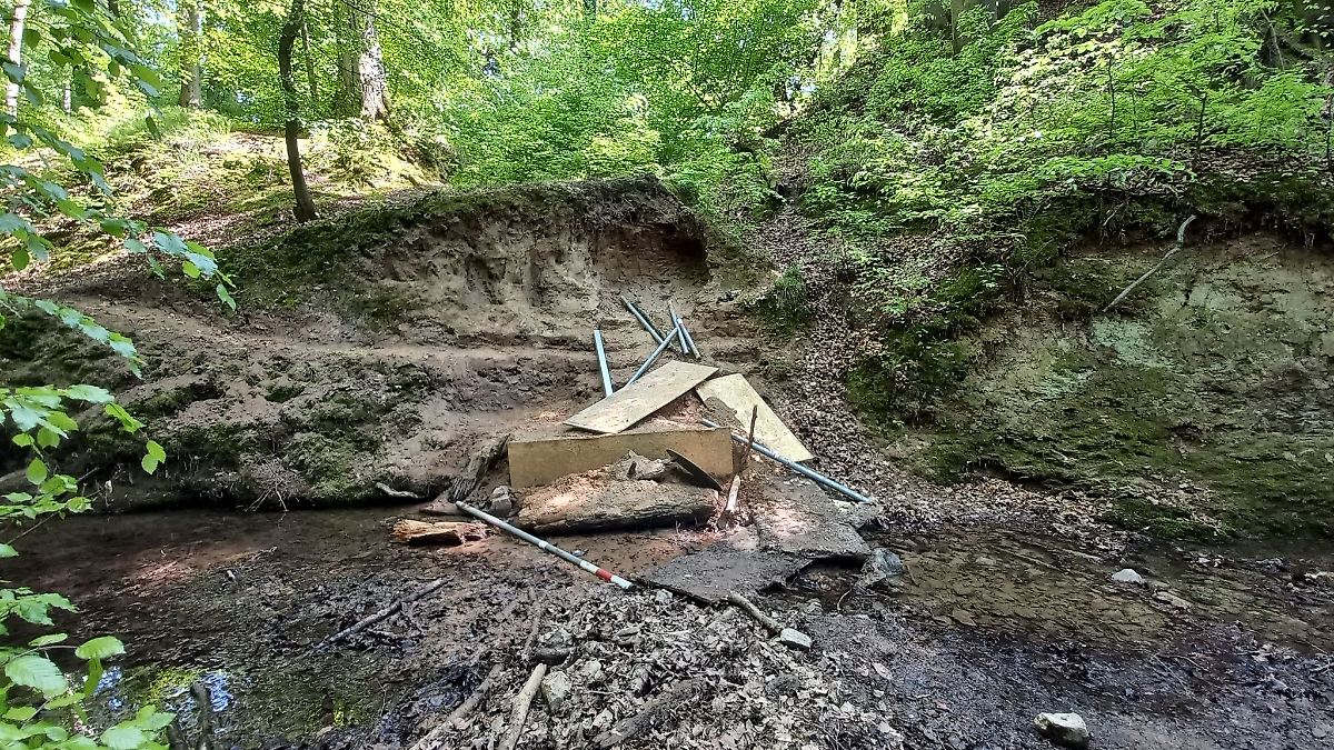 Beschädigungen in Naturschutzgebiet - Eisvögel in Gefahr