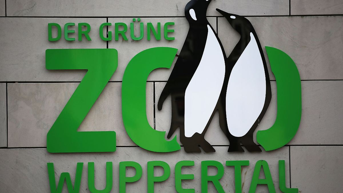 Protest gegen Zoos - Konflikt mit Influencer