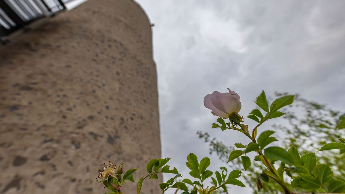 Schauer und Gewitter in Rheinland-Pfalz und dem Saarland
