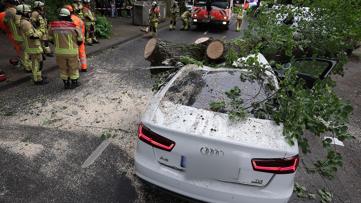 Baum kracht auf Auto - Fahrer verletzt
