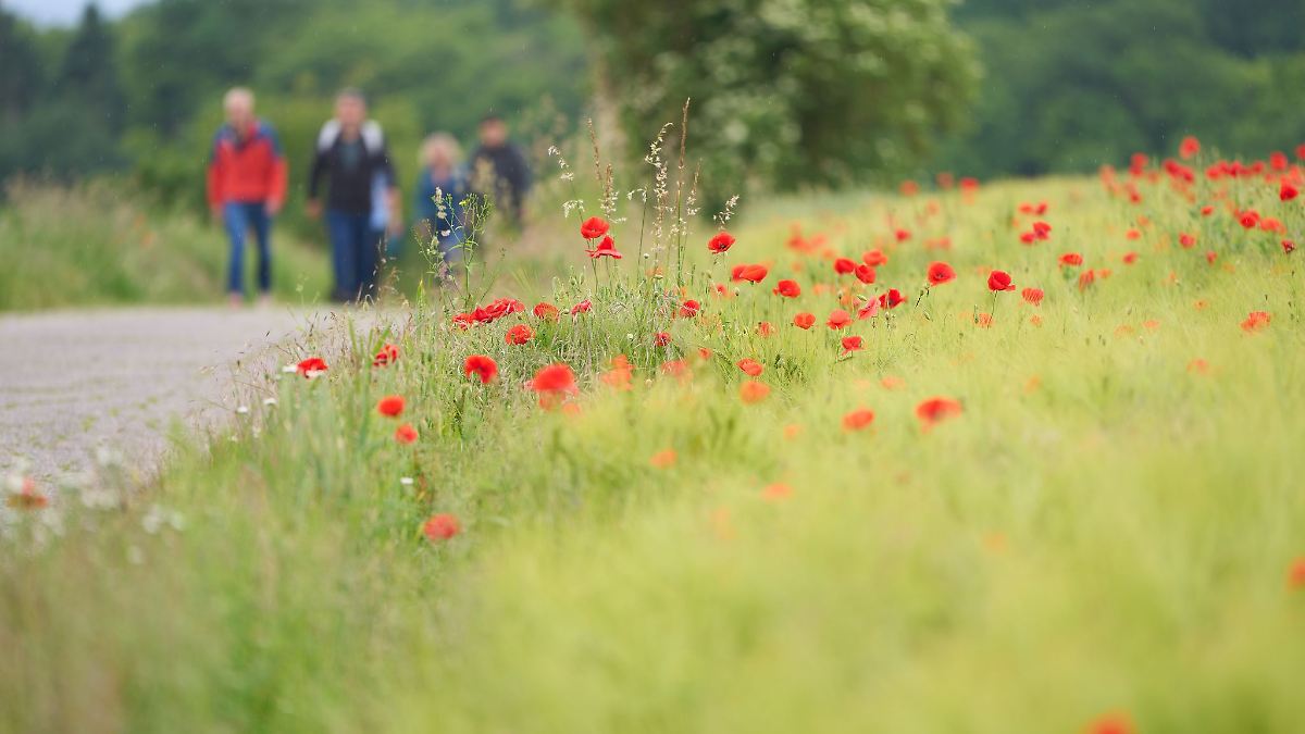 Knapp 30 Grad möglich
