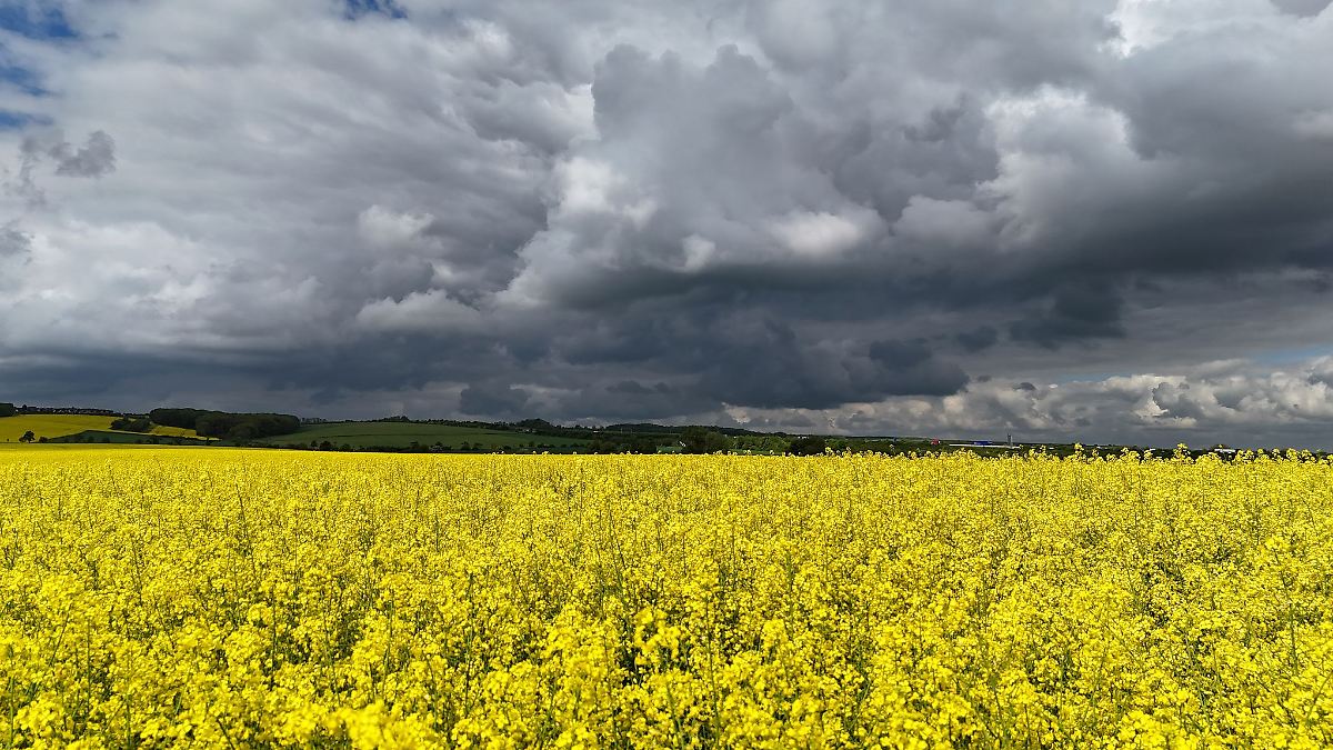 Wetter in Thüringen: Gewitter lassen vorerst nach