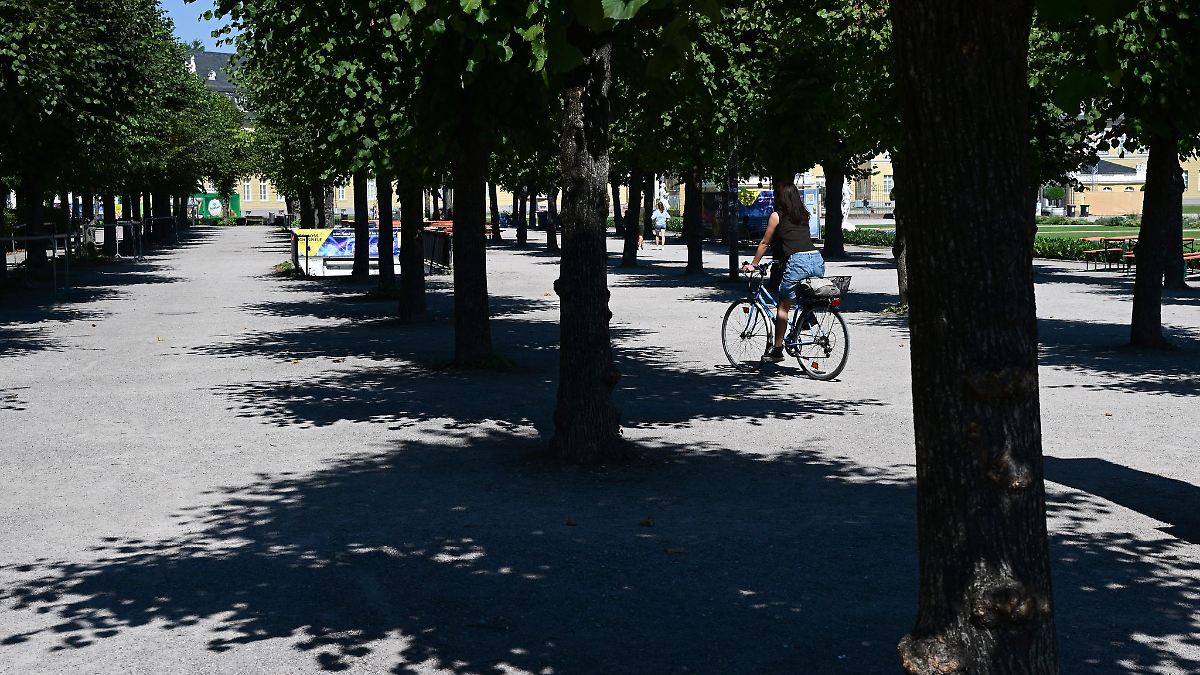 Hitzeschutzplan für MV - Fokus auf Pflegebedürftige