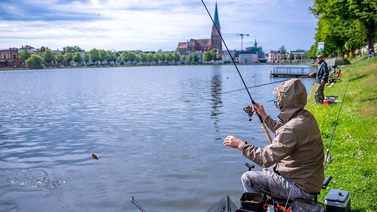 Angeln für den guten Zweck am Schweriner Pfaffenteich