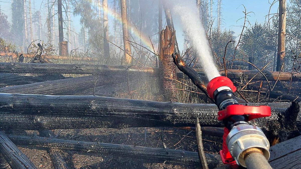 Waldbrand am Möhnesee schwelt weiter - aber kontrolliert
